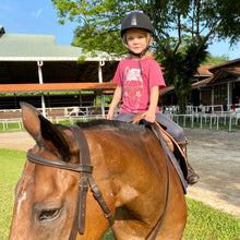 Load image into Gallery viewer, Polo Pony Tee (Faded red/white)
